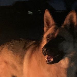 Meet your Posher, Kirbey